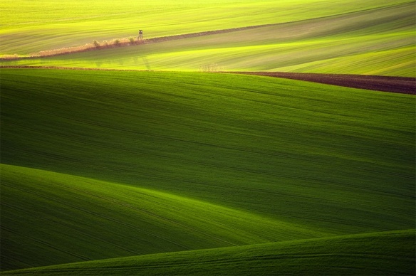 The Proverbial Rolling Hills In South Moravia 3